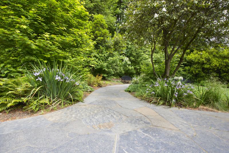 Walkway Paver Solutions