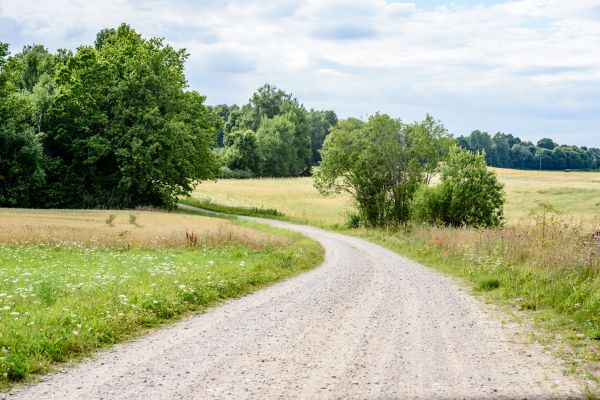 Stone Driveway Repair in Huntsville