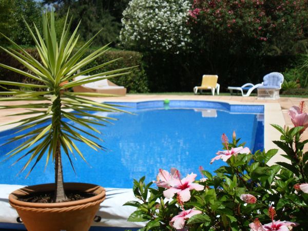 Pool Terrace Renovation in Huntsville